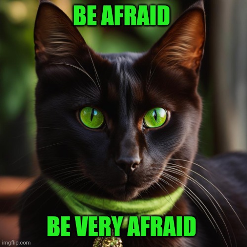 Be afraid Be very afraid | image tagged in green eyed cat | made w/ Imgflip meme maker