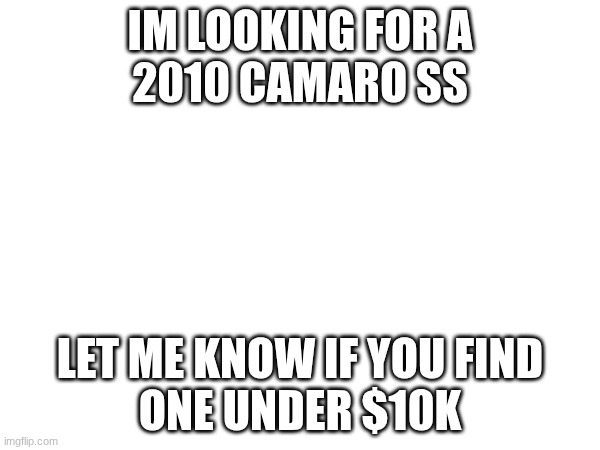 looking for a car | Im looking for a
2010 Camaro ss; let me know if you find
one under $10k | made w/ Imgflip meme maker
