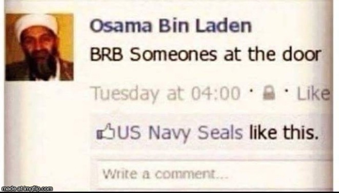 dongs in osama | image tagged in dongs | made w/ Imgflip meme maker