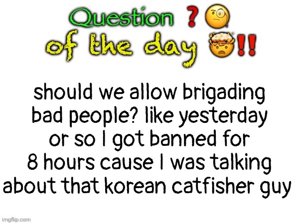 i mean people who deserve it should get it, but the problem is people will prolly mis use it | should we allow brigading bad people? like yesterday or so I got banned for 8 hours cause I was talking about that korean catfisher guy | image tagged in question of the day | made w/ Imgflip meme maker