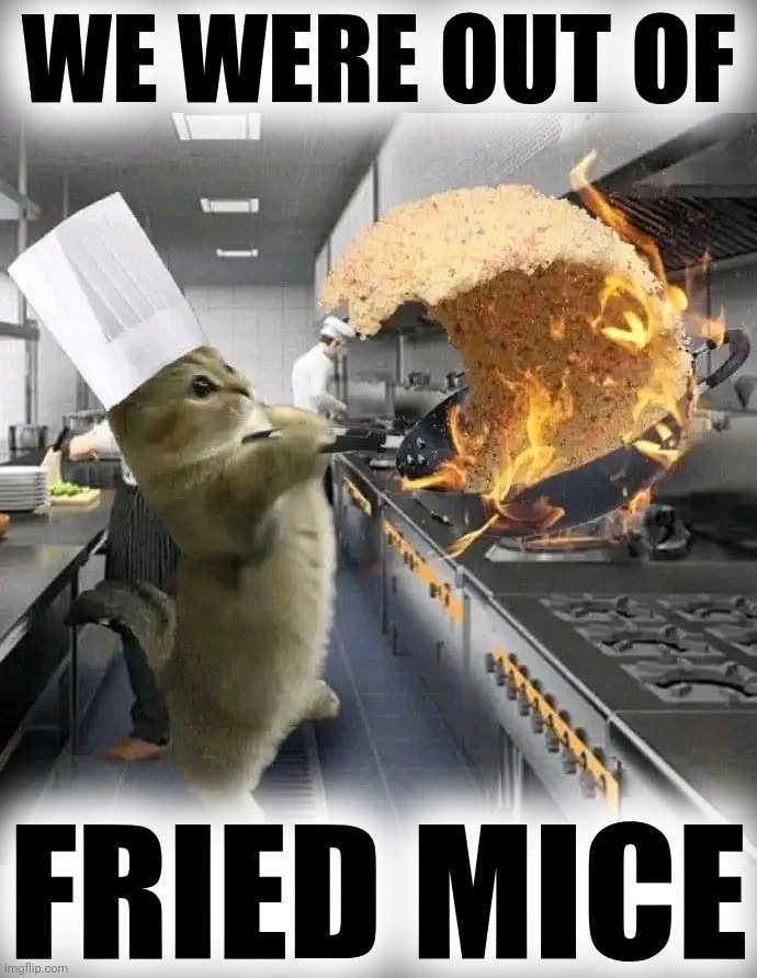 We were out of fried mice | made w/ Imgflip meme maker