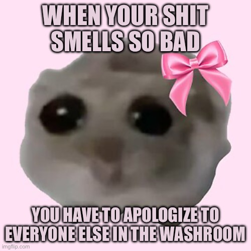 Is it too late to say Sorry | When your shit smells so bad; You have to apologize to everyone else in the washroom | image tagged in sad hamster with bow girl | made w/ Imgflip meme maker