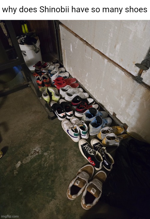 why why why | why does Shinobii have so many shoes | image tagged in shinobii,shoes | made w/ Imgflip meme maker
