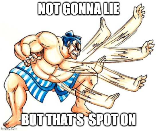 E Honda | not gonna lie but that's  spot on | image tagged in e honda | made w/ Imgflip meme maker