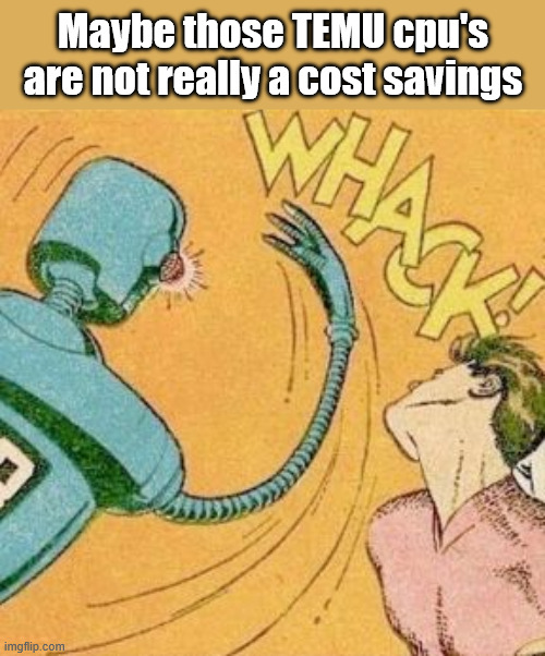 Robot slaps human | Maybe those TEMU cpu's are not really a cost savings | image tagged in robot slaps human | made w/ Imgflip meme maker
