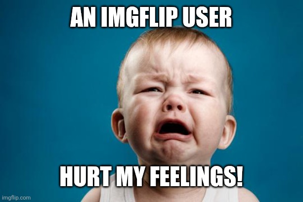 BABY CRYING | An imgflip user Hurt my feelings! | image tagged in baby crying | made w/ Imgflip meme maker
