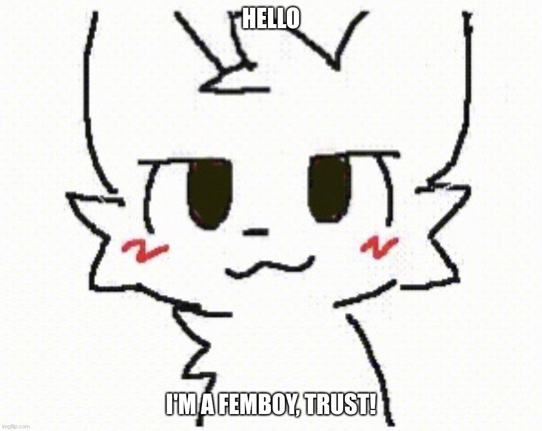 you like kissing boys | Hello; I'm a femboy, trust! | image tagged in you like kissing boys | made w/ Imgflip meme maker