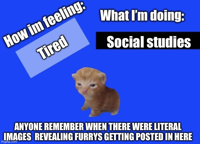 Son | Social studies; Tired; Anyone remember when there were literal images  revealing furrys getting posted in here | image tagged in secure2019 announce temp | made w/ Imgflip meme maker