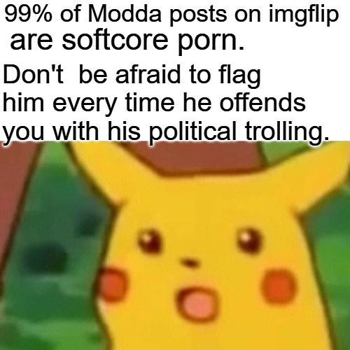 I'm tired of his self righteous attacks, he has no claim to the high ground. Up to us to clean it up. | 99% of Modda posts on imgflip; are softcore porn. Don't  be afraid to flag him every time he offends you with his political trolling. | image tagged in memes,surprised pikachu | made w/ Imgflip meme maker