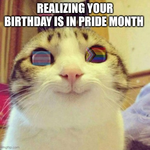 Birthday in June used to be nice because of weather, but now that I know I'm queer... | Realizing your birthday is in Pride Month | image tagged in memes,smiling cat | made w/ Imgflip meme maker