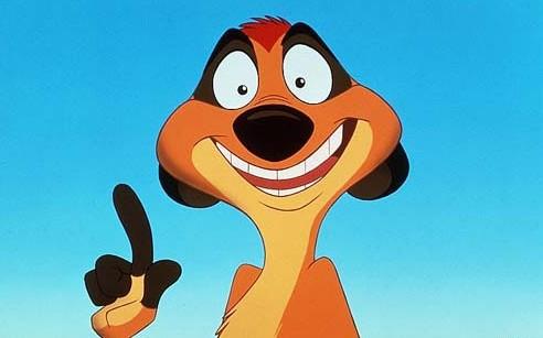 Timon Blank Meme Template