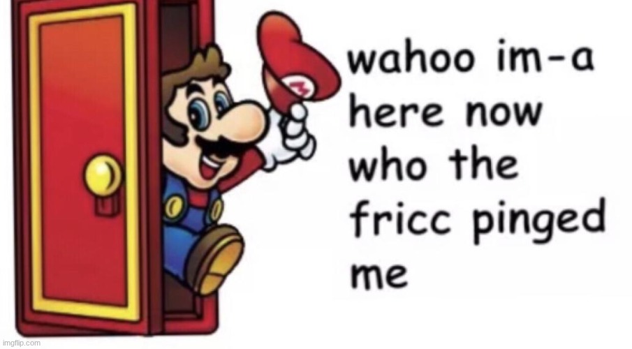 Mario who pinged me | image tagged in mario who pinged me | made w/ Imgflip meme maker
