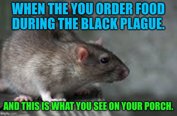 how bad the plague whas | when the you order food during the black plague. and this is what you see on your porch. | image tagged in images jpeg | made w/ Imgflip meme maker