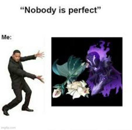 nobody's perfect | image tagged in perfect,crk | made w/ Imgflip meme maker