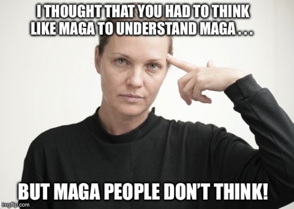 MAGA Don’t Think | image tagged in i hate maga,maga suck,i hate donald trump,trump sucks | made w/ Imgflip meme maker