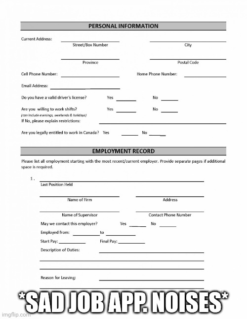 *sad job app. Noises* | image tagged in job application blank | made w/ Imgflip meme maker
