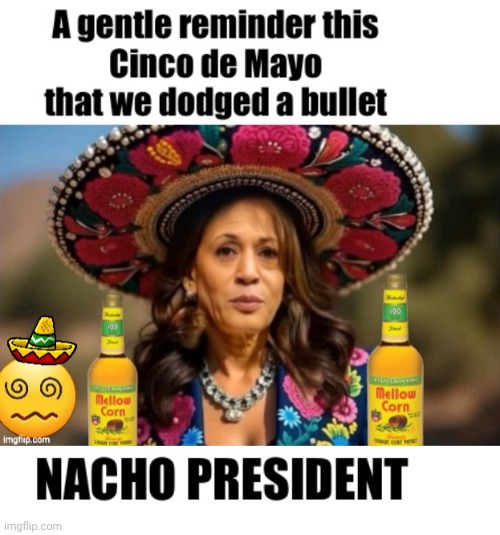 Chronic non functional alcoholic for prez | image tagged in happy hour harris,alcoholic | made w/ Imgflip meme maker