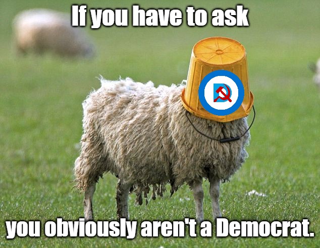 stupid sheep | If you have to ask you obviously aren't a Democrat. | image tagged in stupid sheep | made w/ Imgflip meme maker