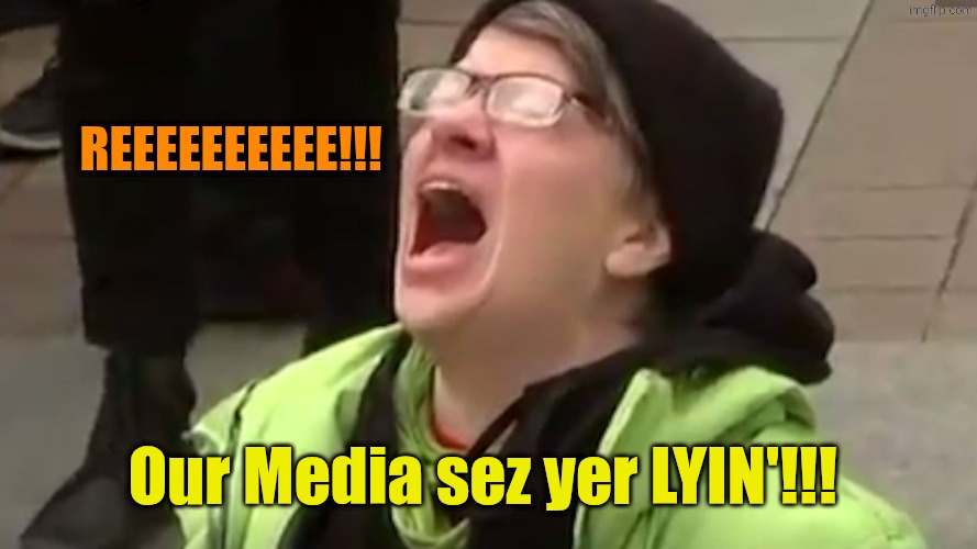 Screaming Liberal  | Reeeeeeeeee!!! Our Media sez yer LYIN'!!! | image tagged in screaming liberal | made w/ Imgflip meme maker