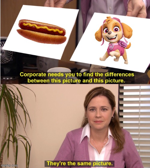 Hotdog and Hot Dog, two ways to spell it. | image tagged in memes,they're the same picture,paw patrol | made w/ Imgflip meme maker