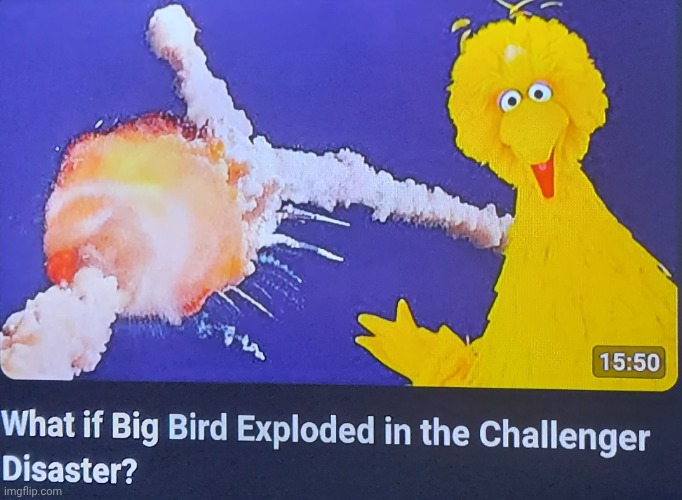 What if big bird exploded in the challenger disaster? | image tagged in what if big bird exploded in the challenger disaster | made w/ Imgflip meme maker