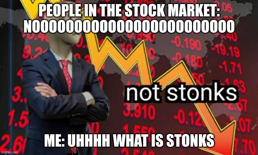 Me when some one says stocks | People in the stock market:
NOOOOOOOOOOOOOOOOoooooooo; Me: UHHHh what is stonks | image tagged in not stonks | made w/ Imgflip meme maker