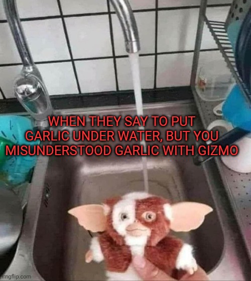 Yeah i know this is a no sense, but didn't had any other idea for a meme | When they say to put garlic under water, but you misunderstood garlic with gizmo | image tagged in gizmo shower | made w/ Imgflip meme maker
