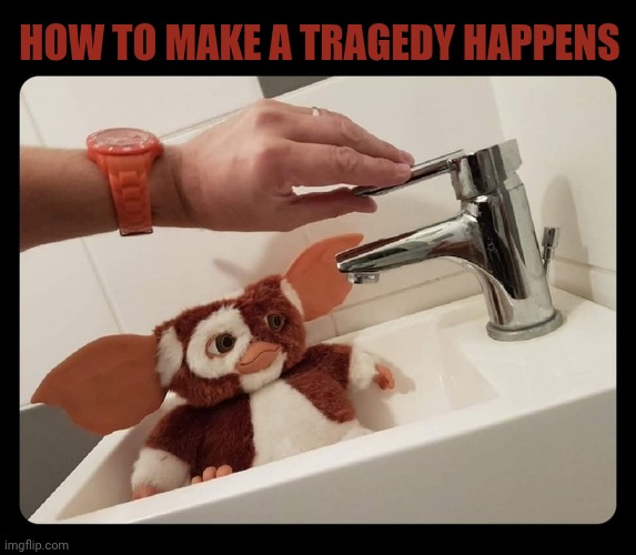 Gizmo in sink | How to make a tragedy happens | image tagged in gizmo in sink | made w/ Imgflip meme maker