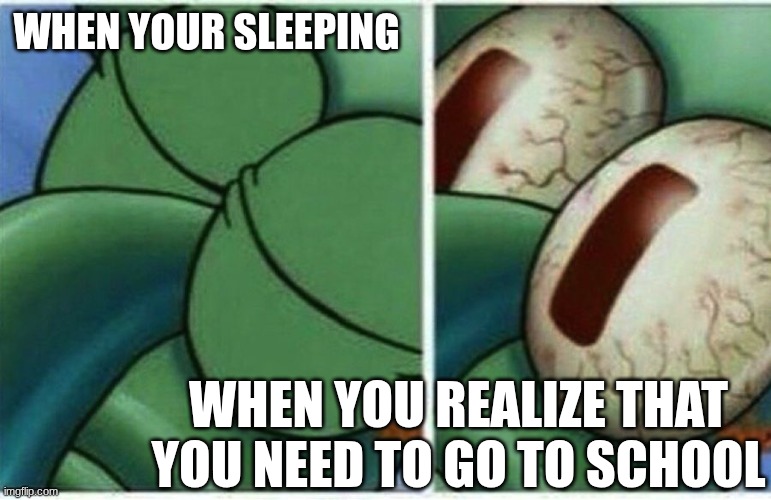 Squidward wakes up  | When your sleeping; When you realize that you need to go to school | image tagged in squidward wakes up | made w/ Imgflip meme maker
