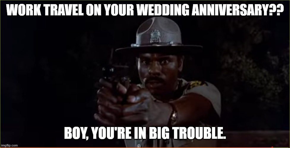 You did what? | work travel on your wedding anniversary?? boy, you're in big trouble. | image tagged in big_trouble png,blues brothers,cop,sheriff | made w/ Imgflip meme maker