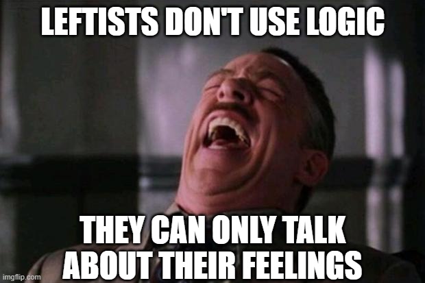 Spider Man boss | Leftists don't use logic they can only talk about their feelings | image tagged in spider man boss | made w/ Imgflip meme maker