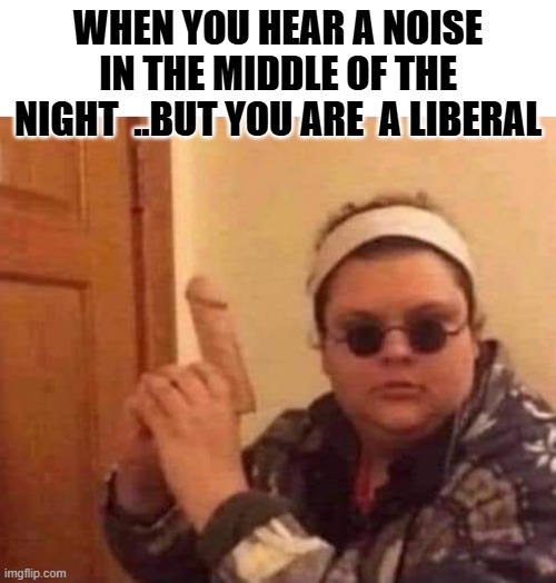 When you hear a noise in the middle of the night  ..but you are  a liberal | made w/ Imgflip meme maker