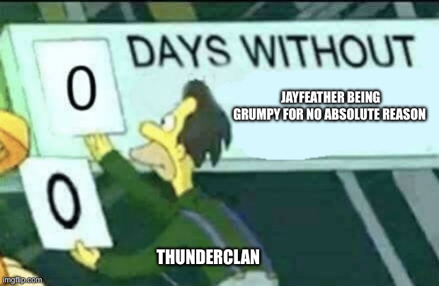 Grumpy jayfeather | Jayfeather Being grumpy for no absolute reason; Thunderclan | image tagged in 0 days without lenny simpsons | made w/ Imgflip meme maker