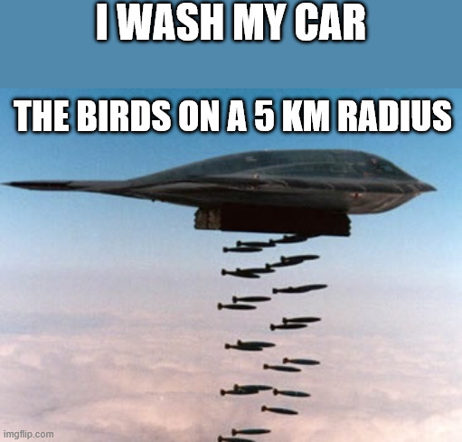 Gooddamn birds!! | I Wash my car; The birds on a 5 km radius | image tagged in stealth bomber,car wash,birds,shit | made w/ Imgflip meme maker