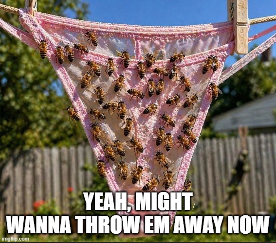 Bees??? | Yeah, might wanna throw em away now | image tagged in cursed image | made w/ Imgflip meme maker