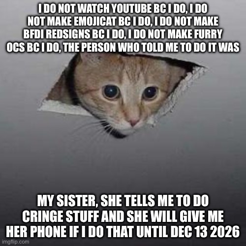 2 people who made rude comment on my image:( it made my sister threaten them bad luck etc. | I do not watch YouTube bc I do, i do not make Emojicat bc I do, i do not make bfdi redsigns bc I do, i do not make furry ocs bc I do, the person who told me to do it was; My sister, she tells me to do cringe stuff and she will give me her phone if I do that until dec 13 2026 | image tagged in be kind | made w/ Imgflip meme maker