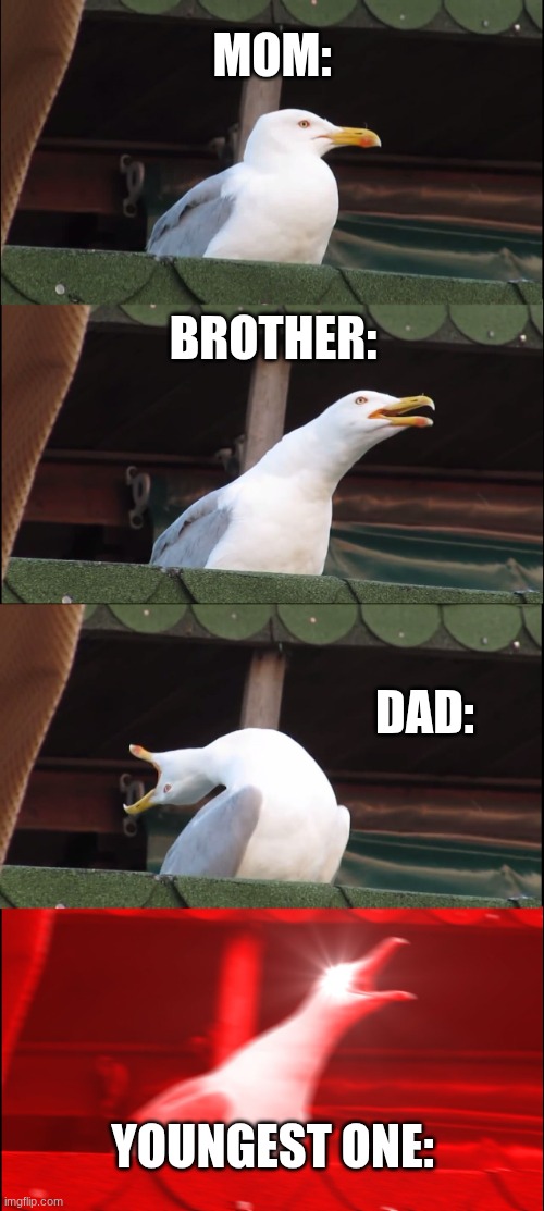 Inhaling Seagull | mom:; Brother:; Dad:; Youngest one: | image tagged in memes,inhaling seagull | made w/ Imgflip meme maker