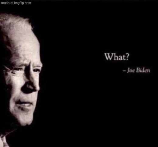 image tagged in joe biden what | made w/ Imgflip meme maker