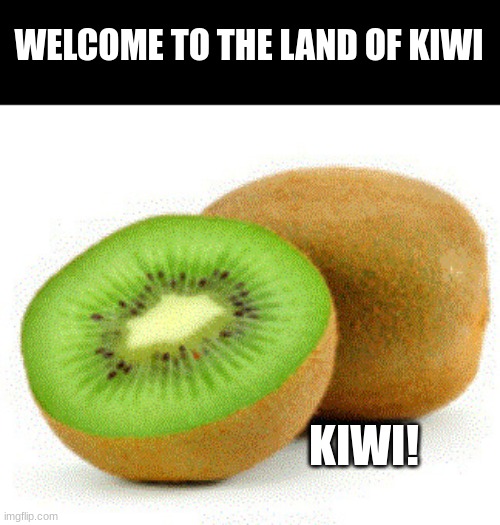 the land.gif | welcome to the land of kiwi; KIWI! | image tagged in the land gif | made w/ Imgflip meme maker