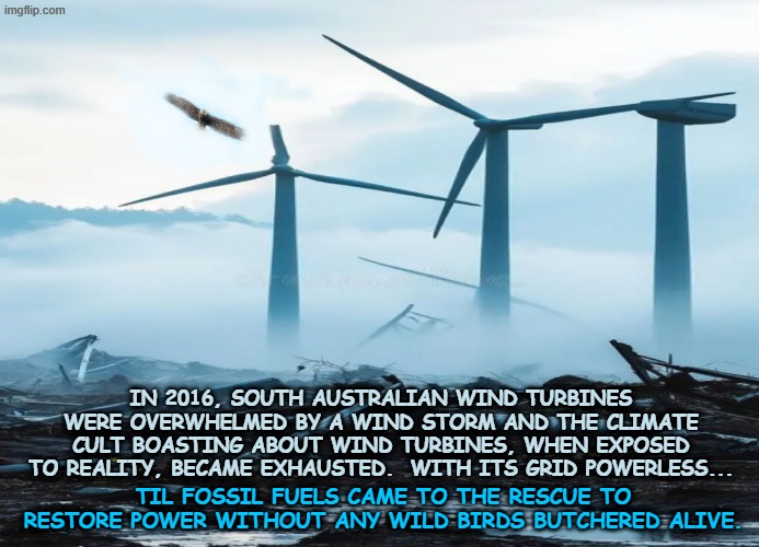 When a power grid leans too hard on the wind | In 2016, South Australian wind turbines were overwhelmed by a wind storm and the climate cult boasting about wind turbines, when exposed to reality, became exhausted.  With its grid powerless... til fossil fuels came to the rescue to restore power without any wild birds butchered alive. | image tagged in an eagle flying around broken wind turbines jpeg | made w/ Imgflip meme maker