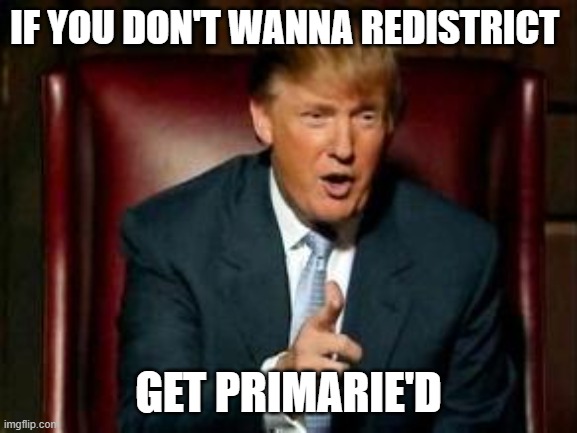Well I guess being against Trump isn't allowed so... | If you don't wanna redistrict; get primarie'd | image tagged in donald trump | made w/ Imgflip meme maker