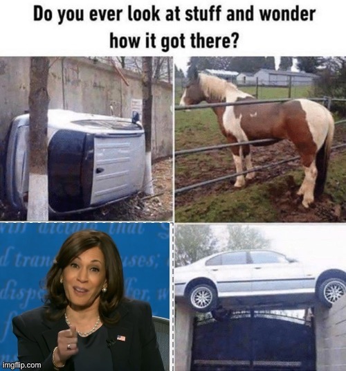 Ain’t nobody vote for this chick to be in the primaries | image tagged in do you ever look at stuff and wonder how it got there,memes,bruh | made w/ Imgflip meme maker
