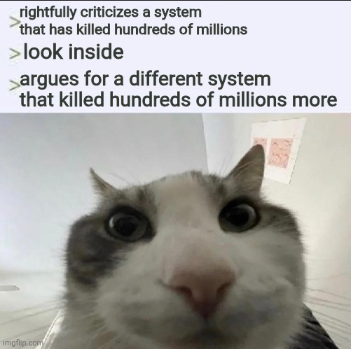 Tankie ideology sucked but capitalism has killed hundreds of millions as well | rightfully criticizes a system that has killed hundreds of millions; look inside; argues for a different system that killed hundreds of millions more | image tagged in cat looks inside | made w/ Imgflip meme maker