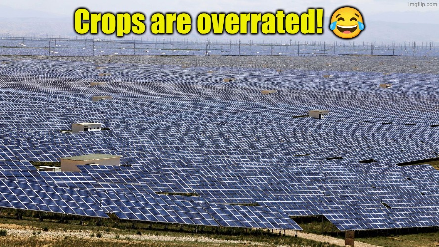 Solar farm | Crops are overrated! ? | image tagged in solar farm | made w/ Imgflip meme maker