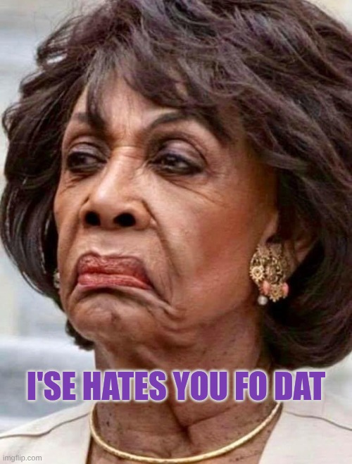 Maxine Waters | I'se hates you fo dat | image tagged in maxine waters | made w/ Imgflip meme maker