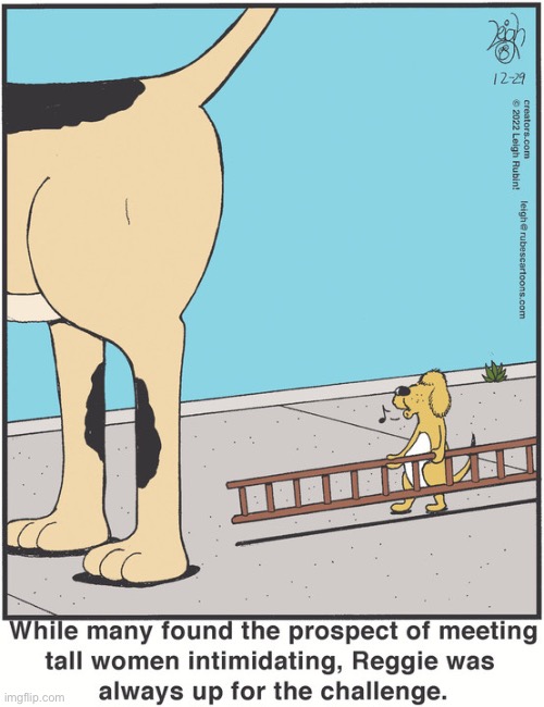 Rubes | image tagged in comics,rubes,dogs,tall women,ladder,up for the challenge | made w/ Imgflip meme maker