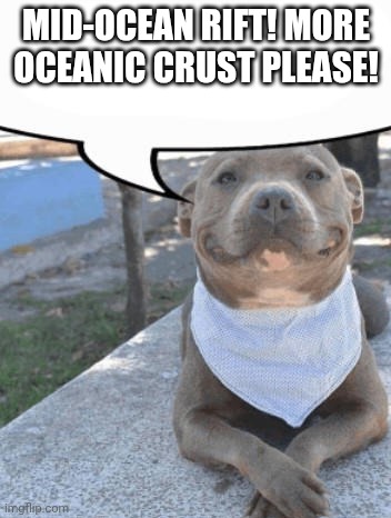 Waiter more x please | Mid-ocean rift! More oceanic crust please! | image tagged in waiter more x please | made w/ Imgflip meme maker