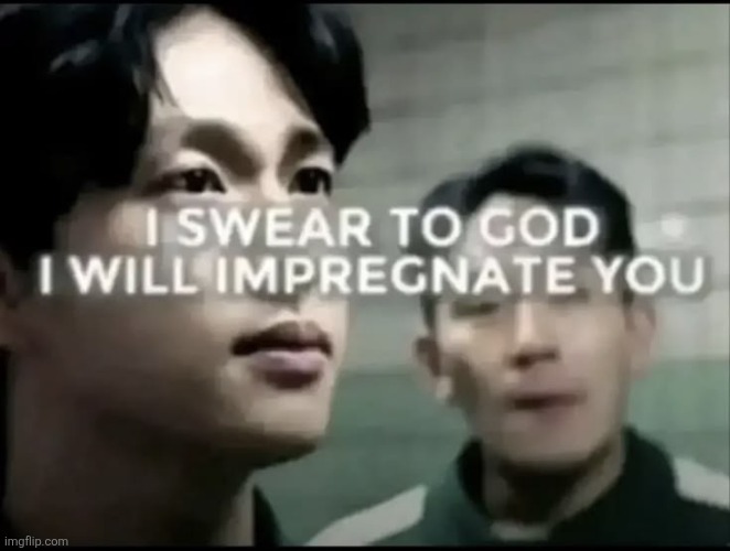 image tagged in i swear to god i will impregnate you | made w/ Imgflip meme maker