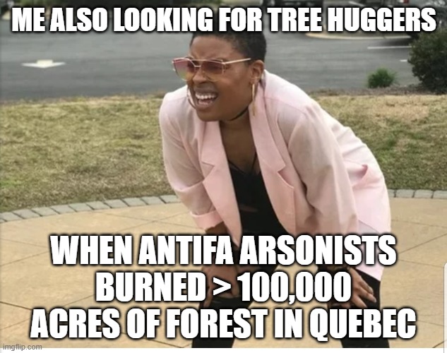 Me looking for | me also looking for tree huggers when antifa arsonists burned > 100,000 acres of forest in quebec | image tagged in me looking for | made w/ Imgflip meme maker