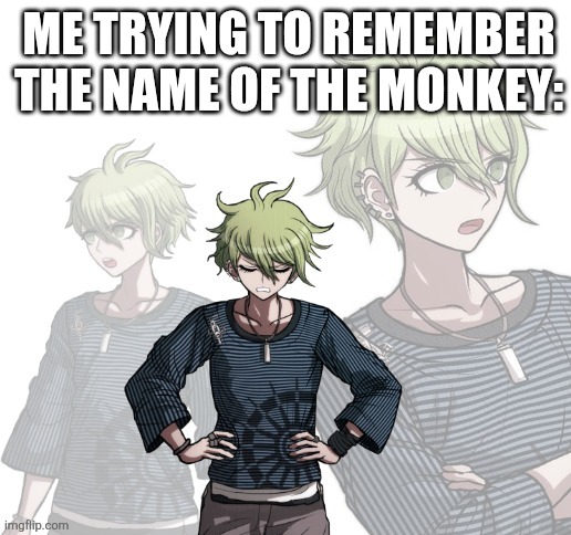 Confused Rantaro | Me trying to remember the name of the monkey: | image tagged in confused rantaro | made w/ Imgflip meme maker